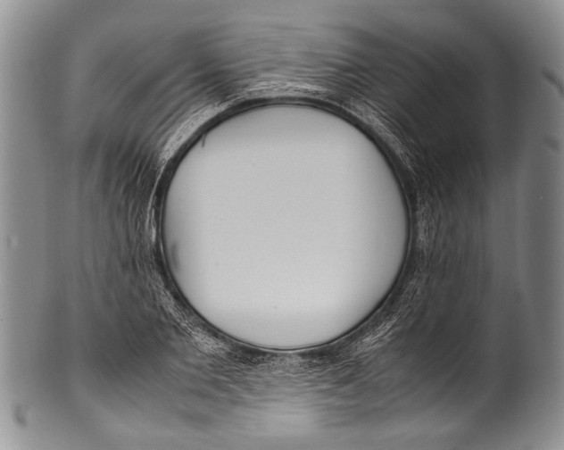 X0000100340885200806261324