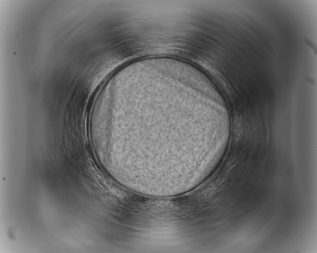 X0000100340886200806261324