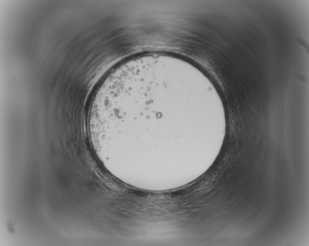 X0000100340887200806261324