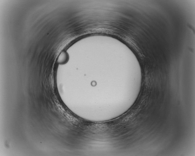 X0000100340888200806261324