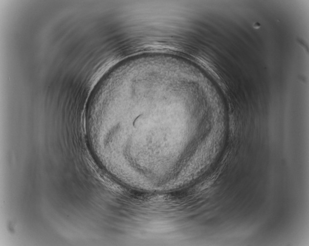 X0000100340891200806261324