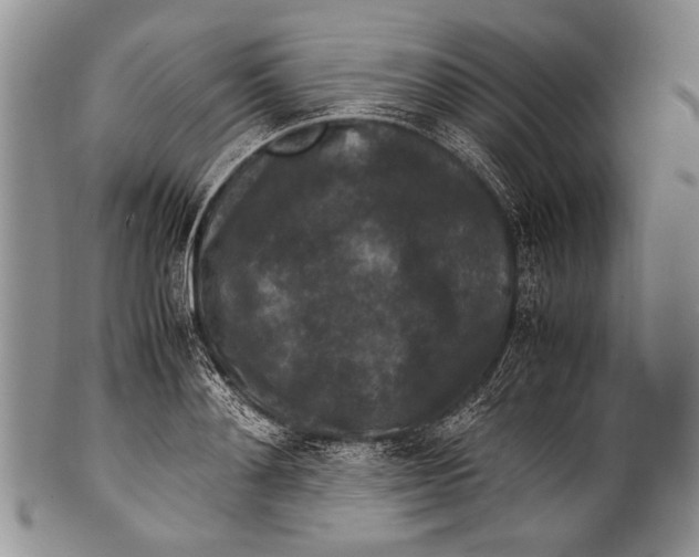 X0000100340892200806261324