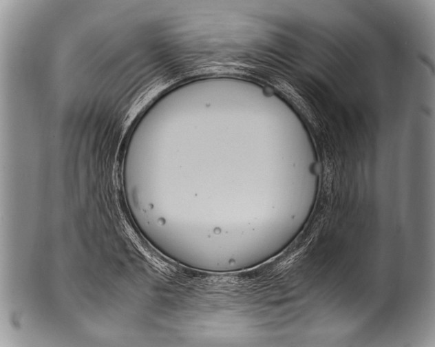 X0000100340893200806261324