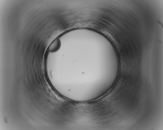 X0000100340894200806261324