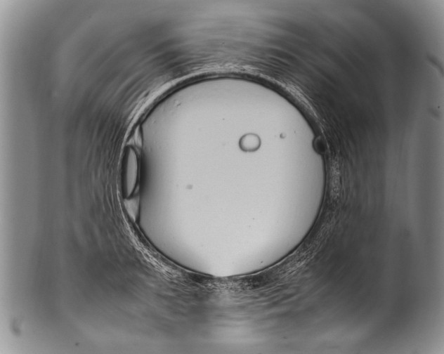 X0000100340895200806261324