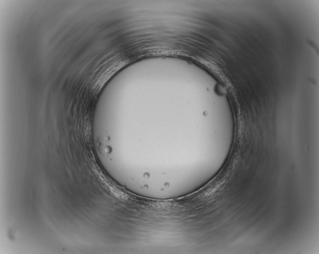 X0000100340897200806261324