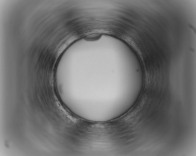 X0000100340898200806261324