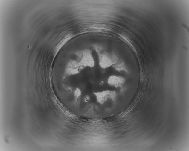 X0000100340899200806261323