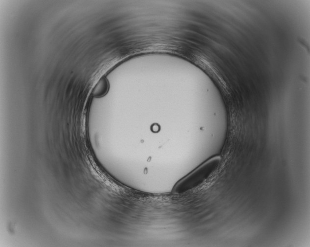 X0000100340900200806261323