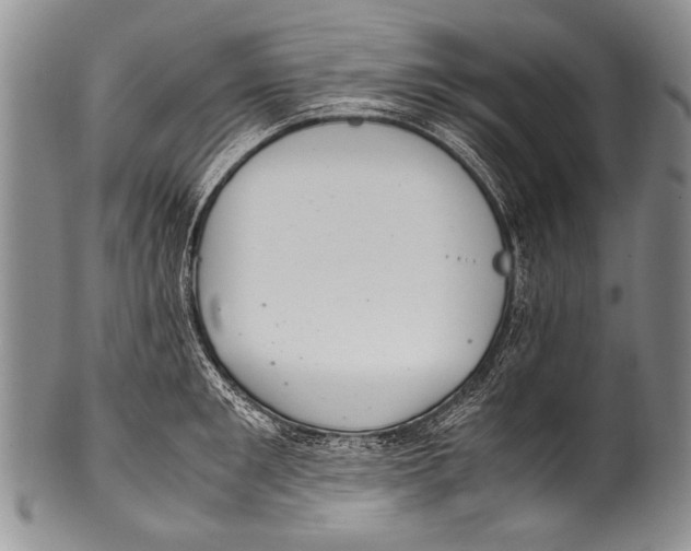 X0000100340901200806261323