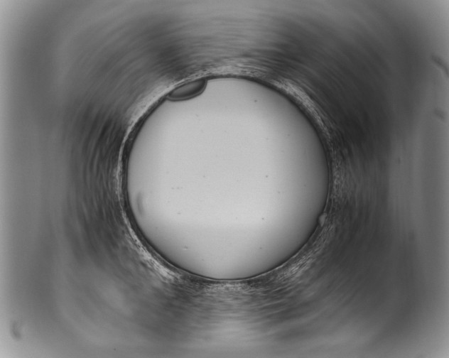 X0000100340902200806261323