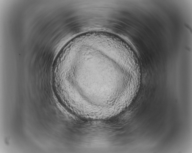 X0000100340903200806261323