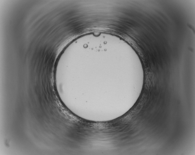 X0000100340904200806261323