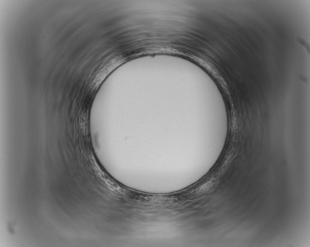 X0000100340905200806261323