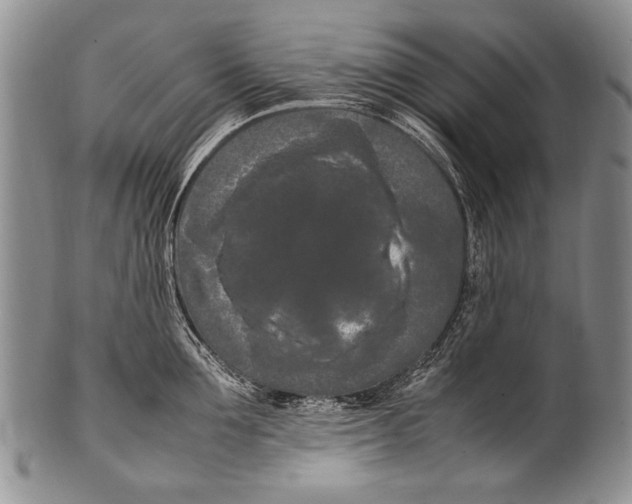 X0000100340907200806261323