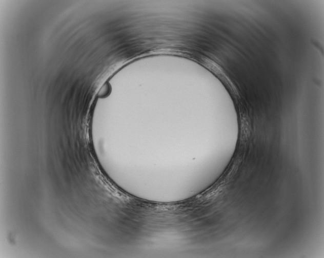 X0000100340908200806261323