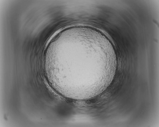 X0000100340911200806261323