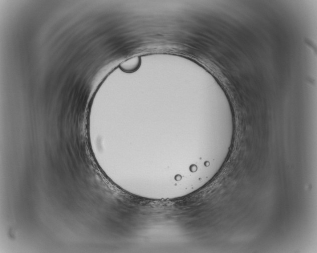 X0000100340912200806261323