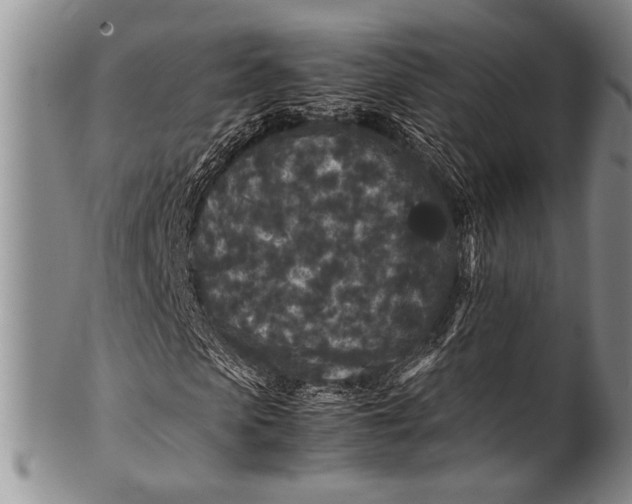 X0000100340913200806261323