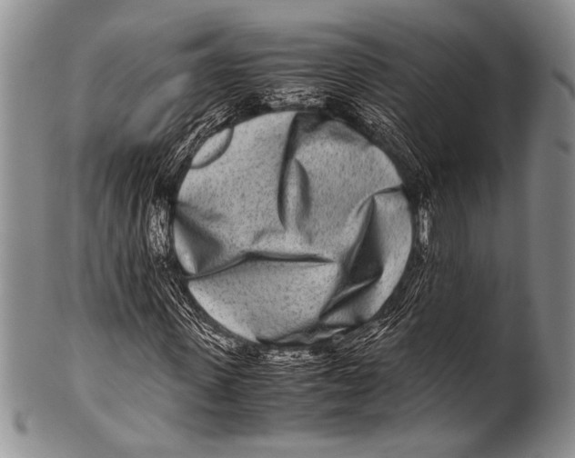 X0000100340915200806261323