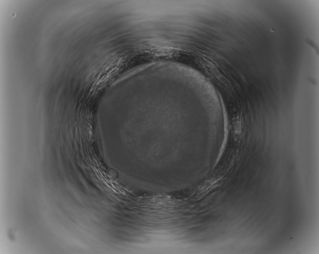 X0000100340916200806261323