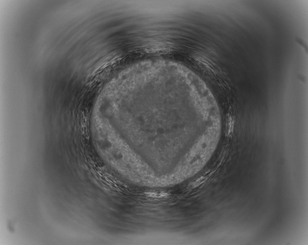 X0000100340917200806261323