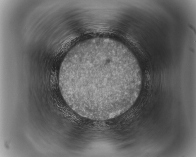 X0000100340918200806261323