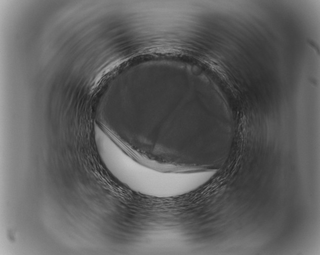 X0000100340920200806261323