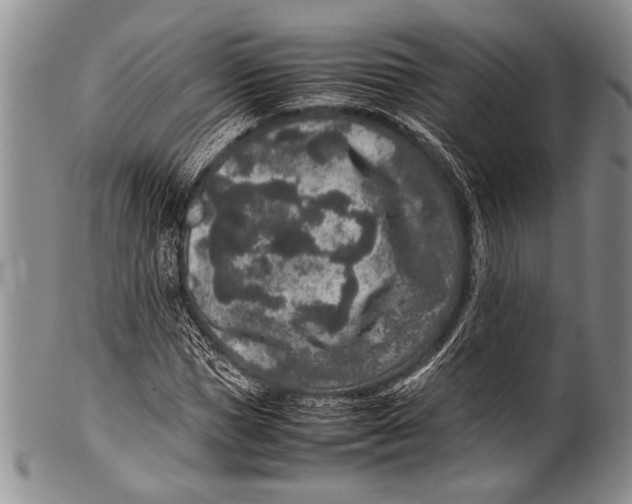 X0000100340921200806261323