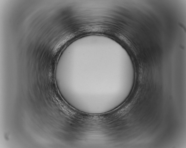 X0000100340922200806261323