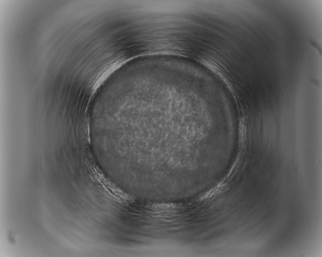 X0000100340925200806261323