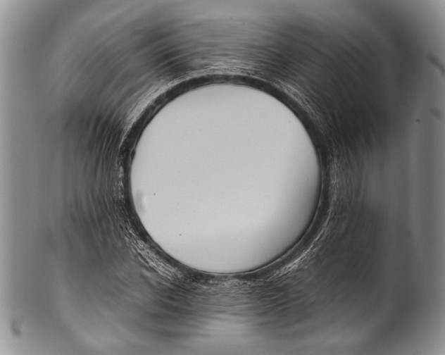 X0000100340926200806261323