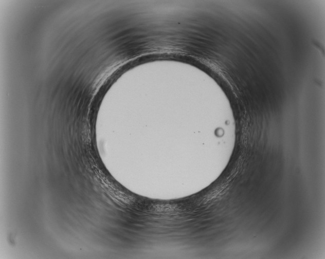 X0000100340927200806261323