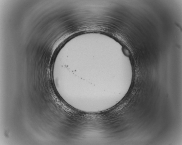 X0000100340928200806261323