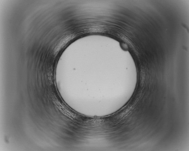 X0000100340930200806261323