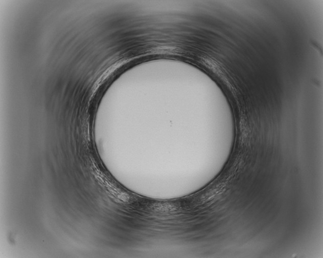 X0000100340931200806261323