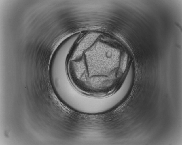 X0000100340932200806261323