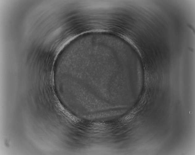 X0000100340935200806261323