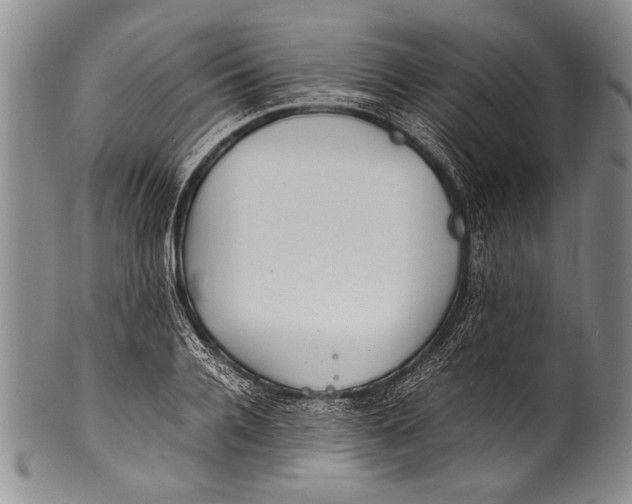 X0000100340936200806261323