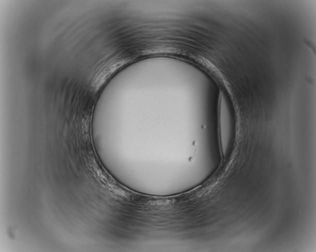 X0000100340937200806261323