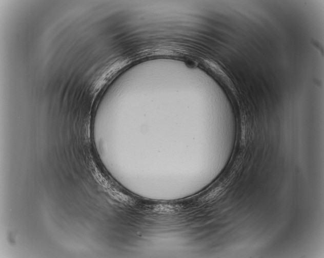 X0000100340938200806261323