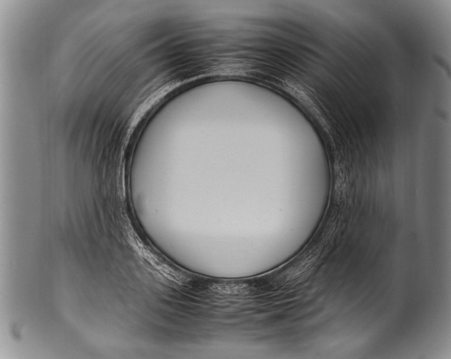 X0000100340939200806261323