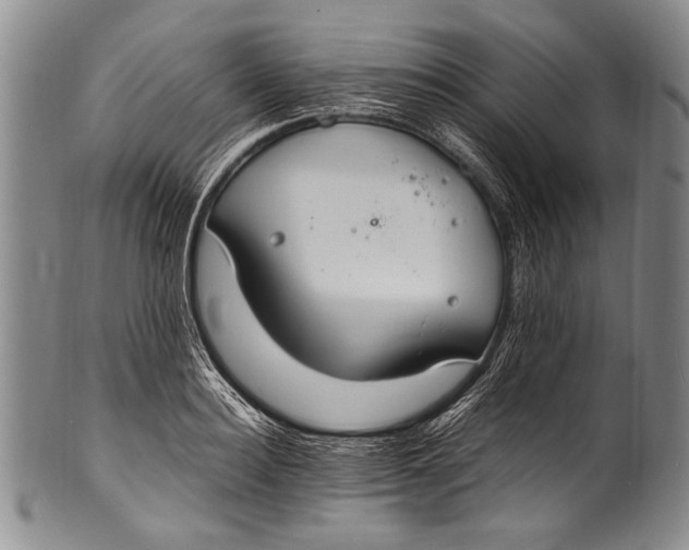 X0000100340940200806261323