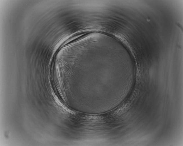 X0000100340941200806261323