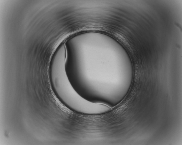 X0000100340942200806261323