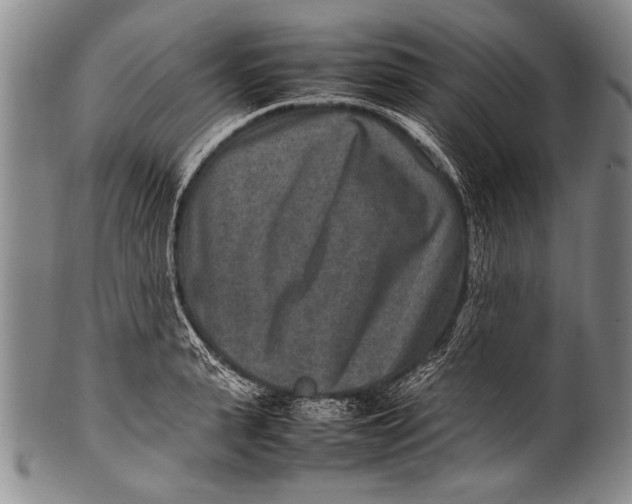 X0000100340943200806261323