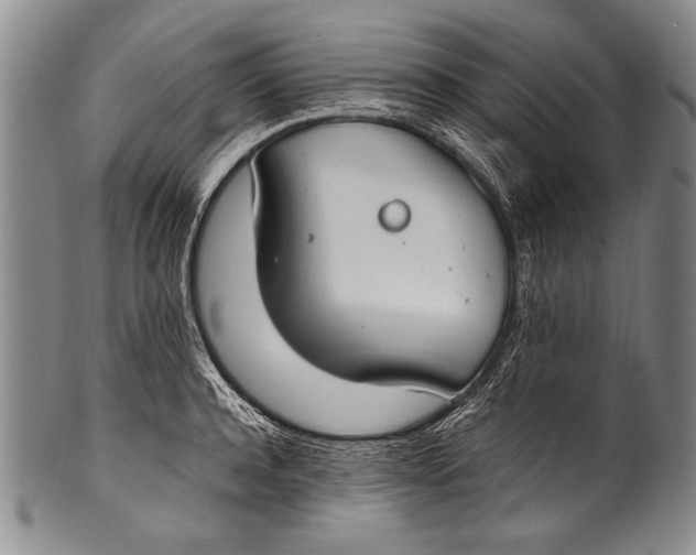 X0000100340944200806261323