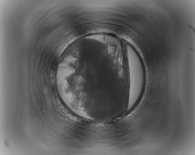 X0000100340945200806261323