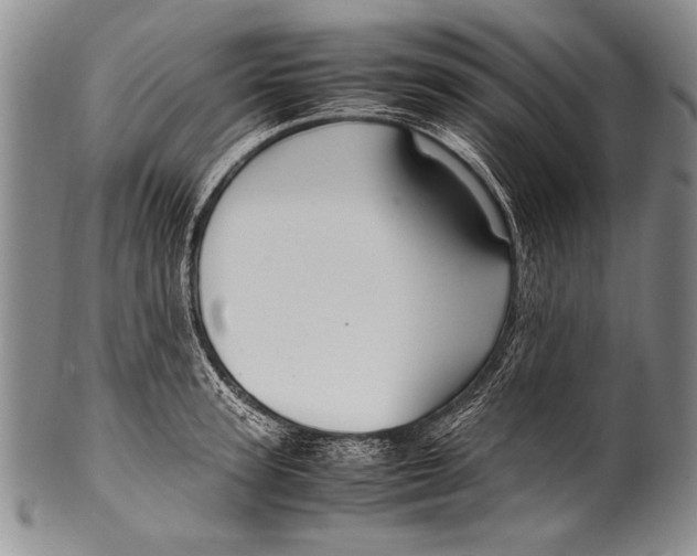 X0000100340947200806261323