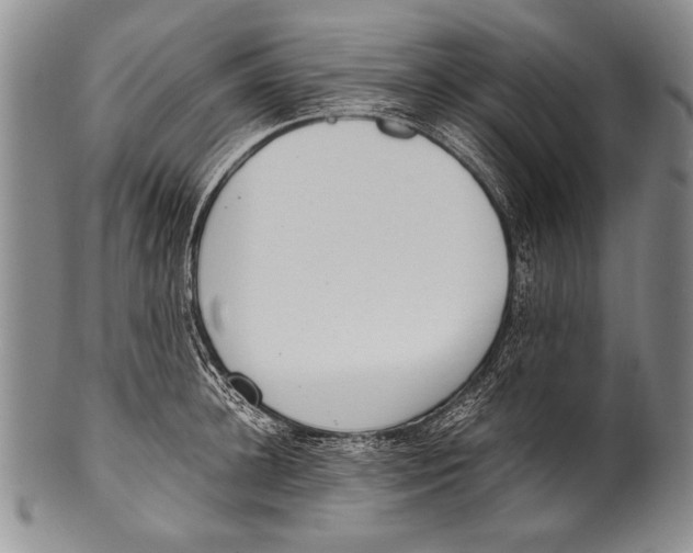 X0000100340948200806261323